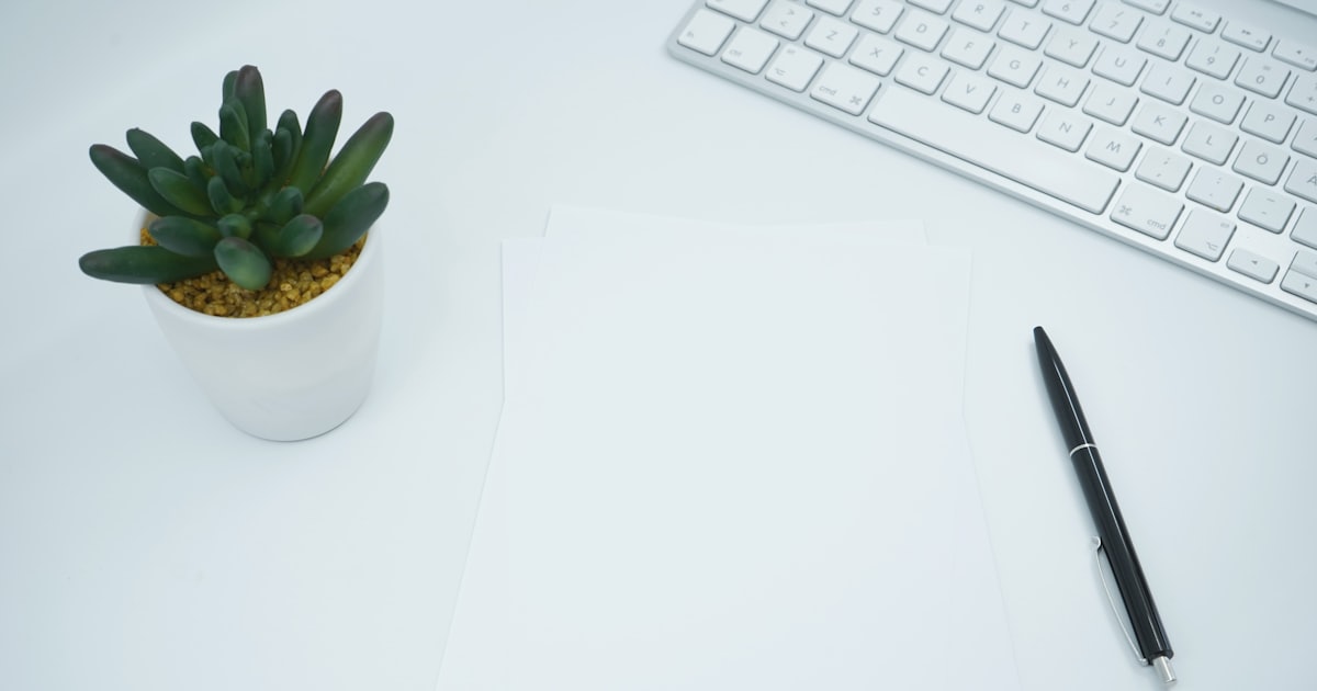 green cactus plant on a white table