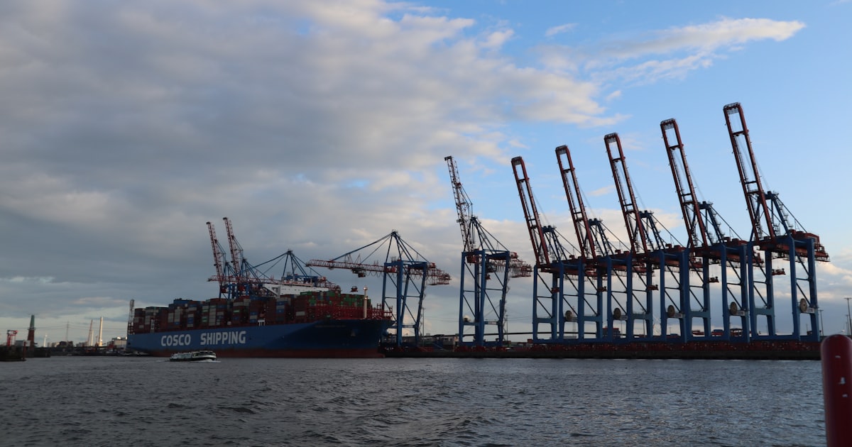 A group of cranes sitting on top of a large body of water