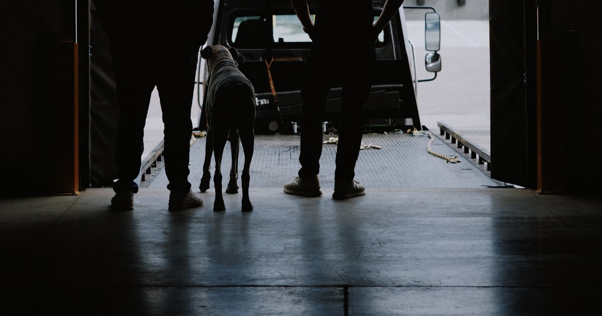 Two men and a dog silhouetted in a dark doorway