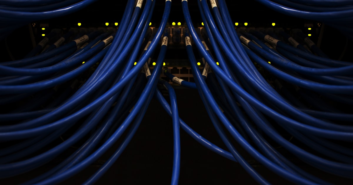 Blue network wires connected to each other