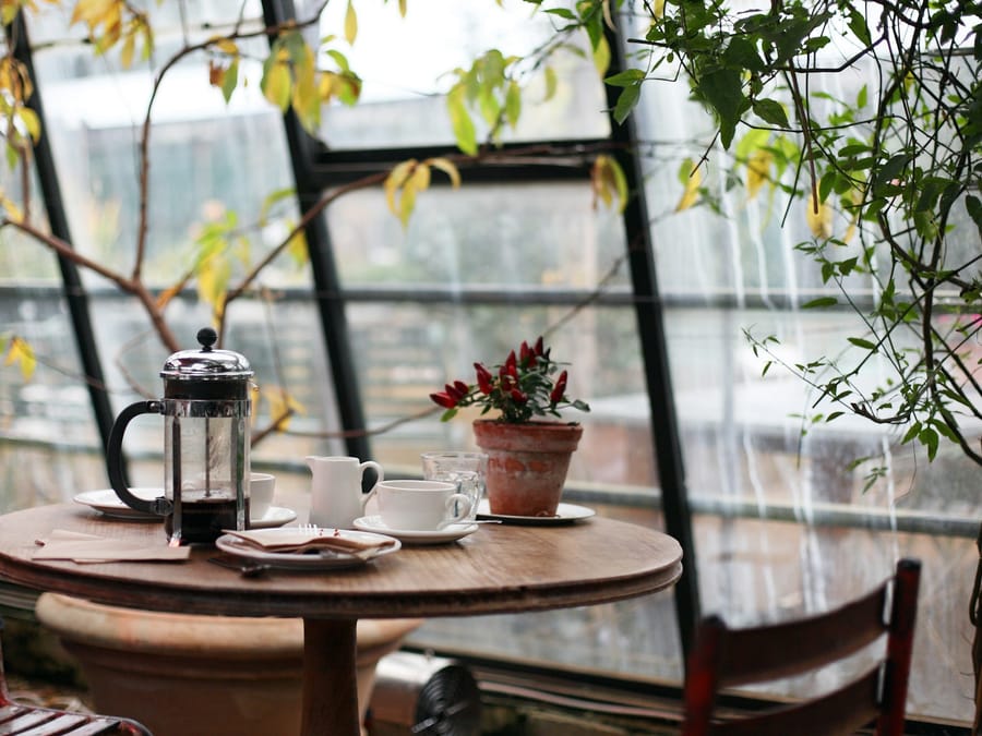 The space — Natural light, second-hand tables, hanging plants