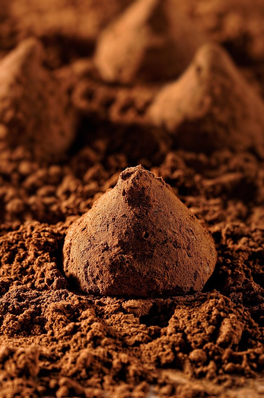A cocoa-dusted truffle sitting in a bed of loose cocoa powder