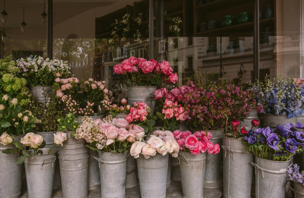 Galvanized buckets of pink roses, ranunculus and other cut stems in a flower shop window