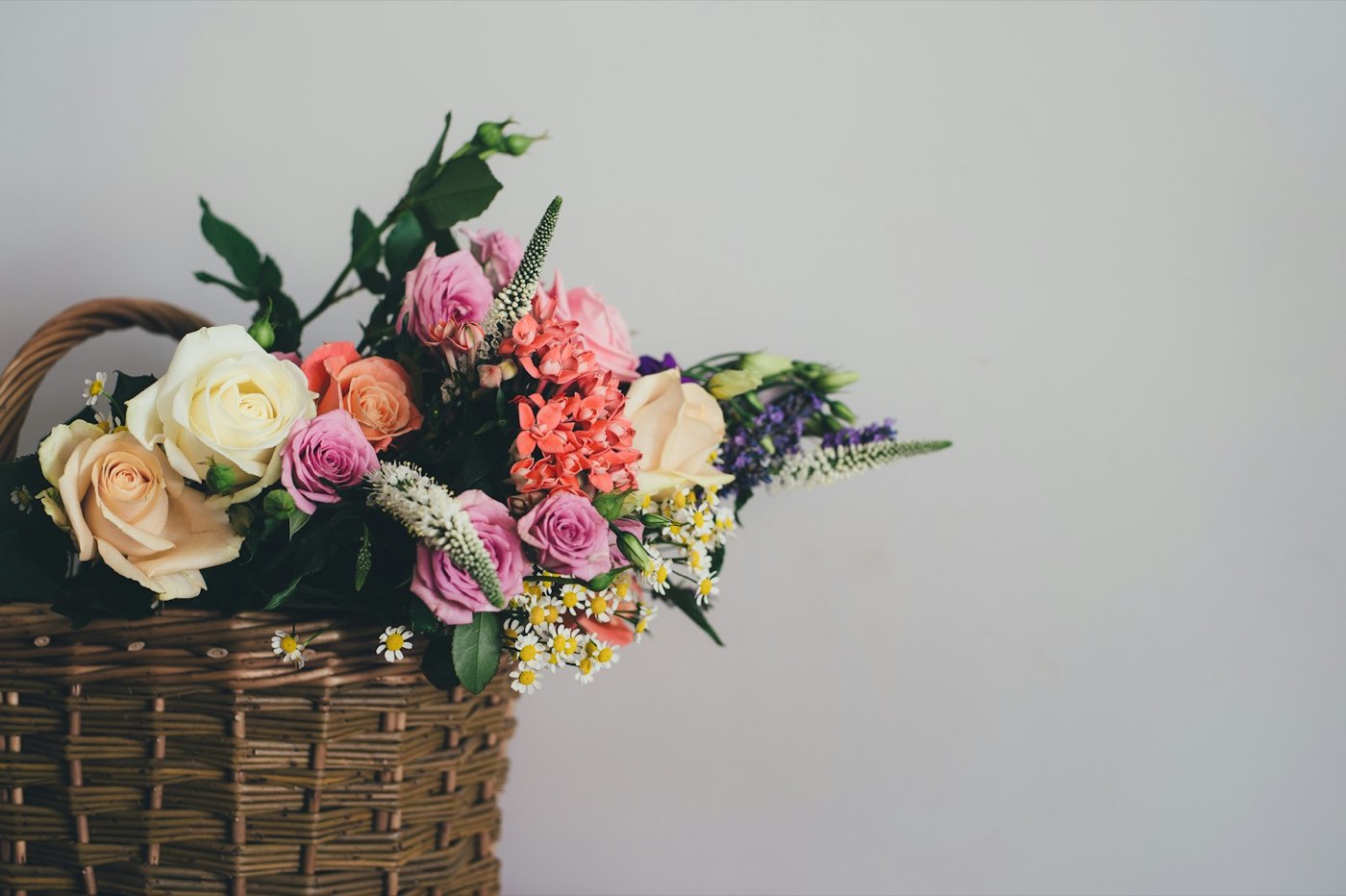 A wicker basket filled with a mixed bouquet of cream, peach and pink roses with small white flowers