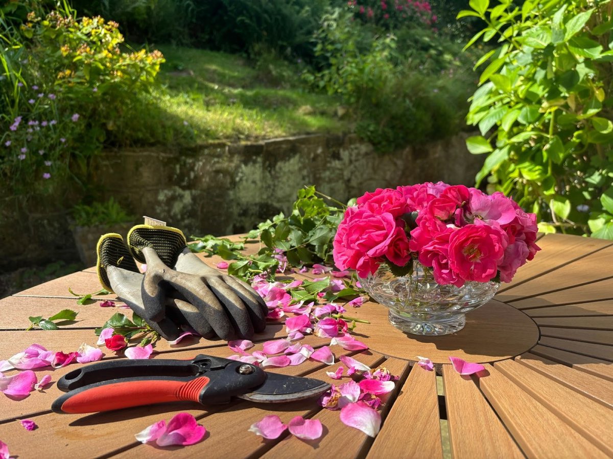Fresh-cut garden roses in a glass bowl beside pruning shears and gloves on an outdoor table
