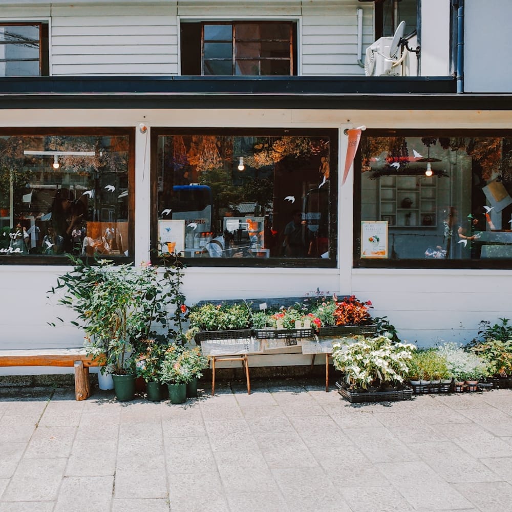 The exterior of Pressed & Nourished on NW 23rd Ave, glass frontage with plants, warm morning light
