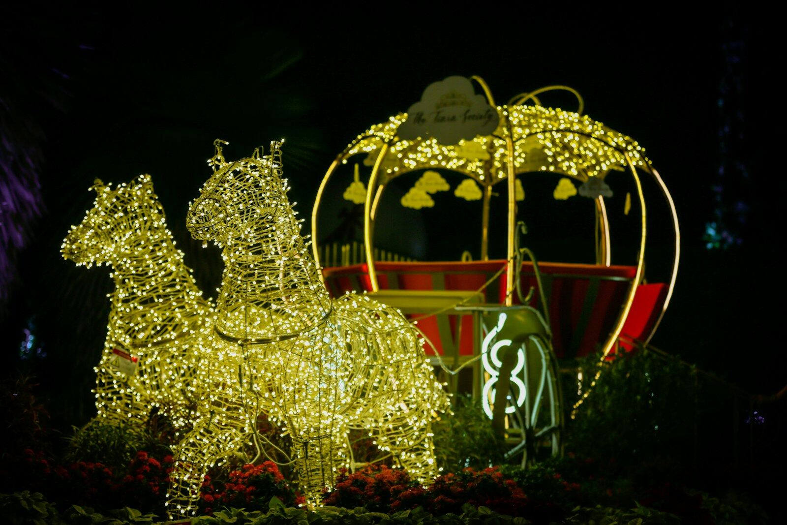 A horse and carriage outlined entirely in warm fairy lights, glowing in a dark garden setting