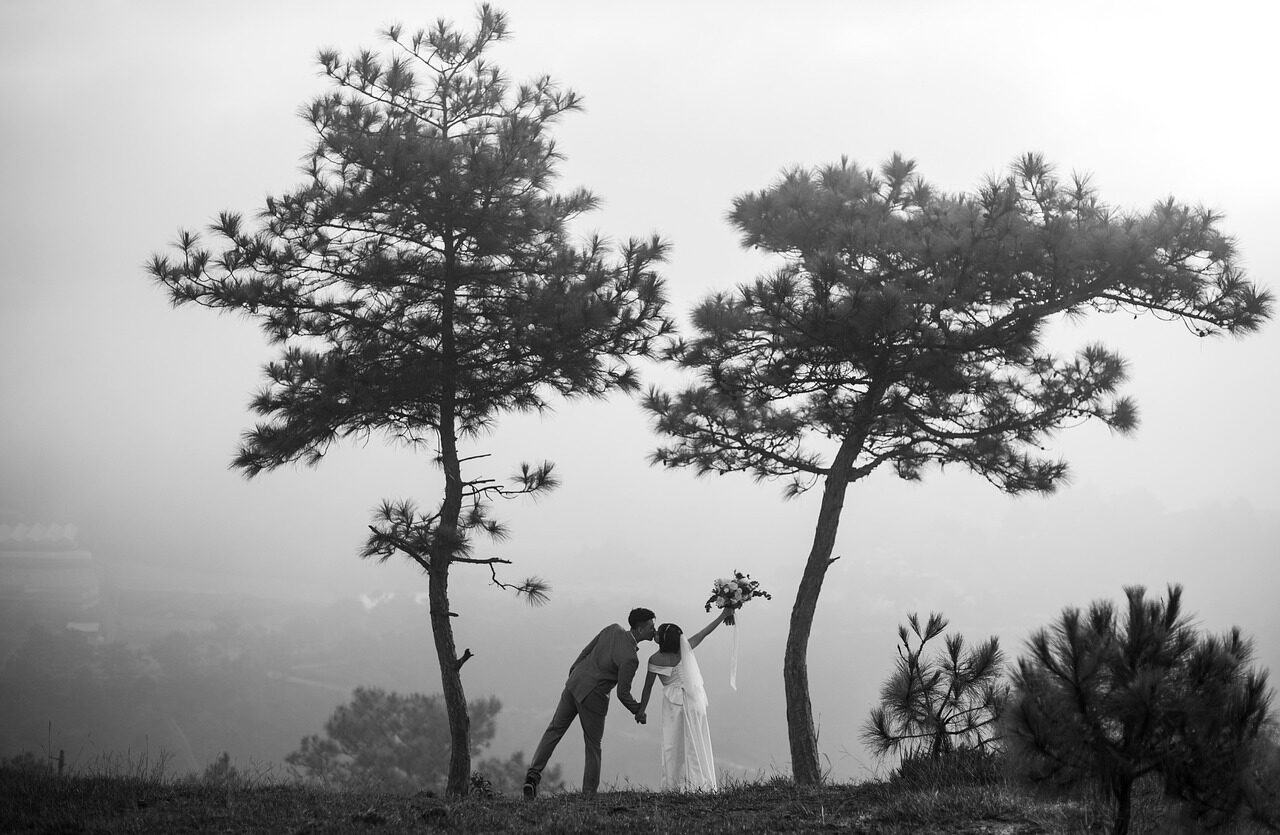 A monochrome wide frame: the couple small beneath windswept trees in mist